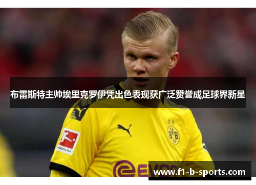 布雷斯特主帅埃里克罗伊凭出色表现获广泛赞誉成足球界新星